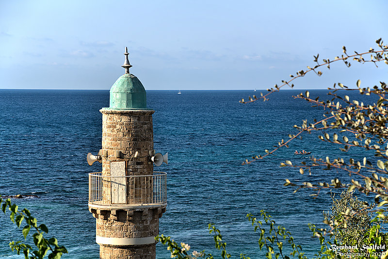 Bernhard Saalfeld - Tel Aviv (4v9)